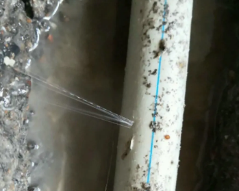石龙卫生间测漏水多少钱