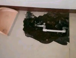 石龙卫生间测漏水多少钱